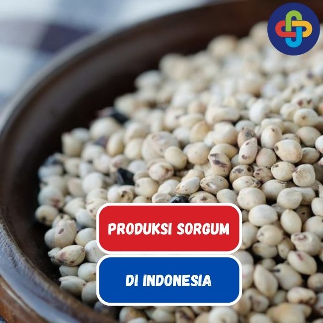 Mengenal Produksi Sorgum dan Beberapa Faktor Pengaruhnya 